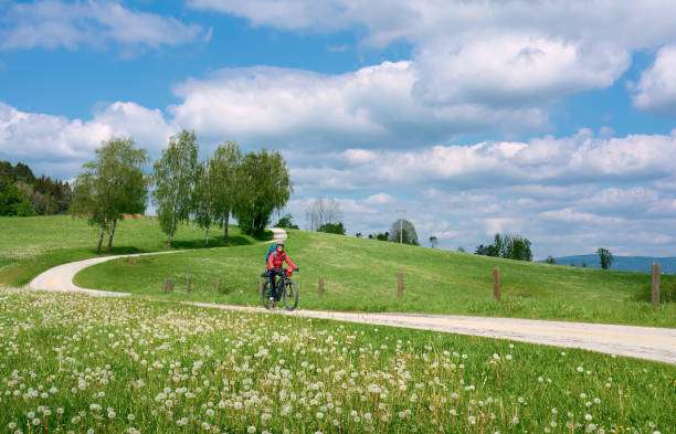 Cyclist with bike helmet riding on a scenic path with wildflowers.